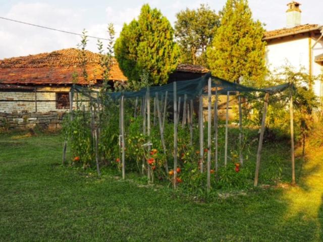 Guest House Yana Turkasheni Luaran gambar