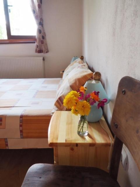 Guest House Yana Turkasheni Luaran gambar
