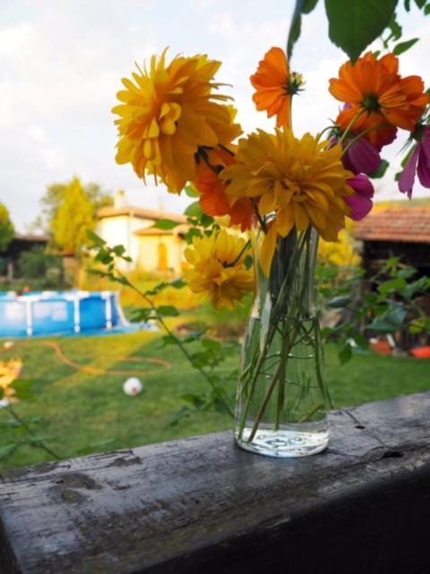 Guest House Yana Turkasheni Luaran gambar
